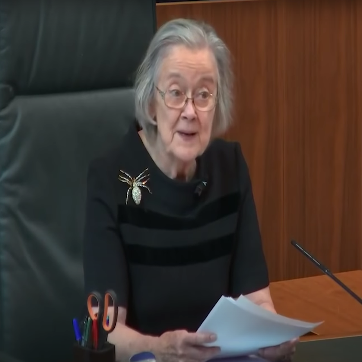 Lady Hale responds to claims spider brooch worn at prorogation