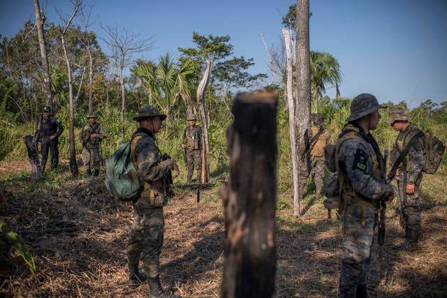 Soldiers investigate poles built to claim a land lot in Guatemala’s Laguna del Tigre National Park in March 2020