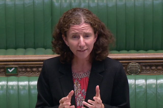 Video: Shadow chancellor Anneliese Dodds interrupted by daughter during TV interview