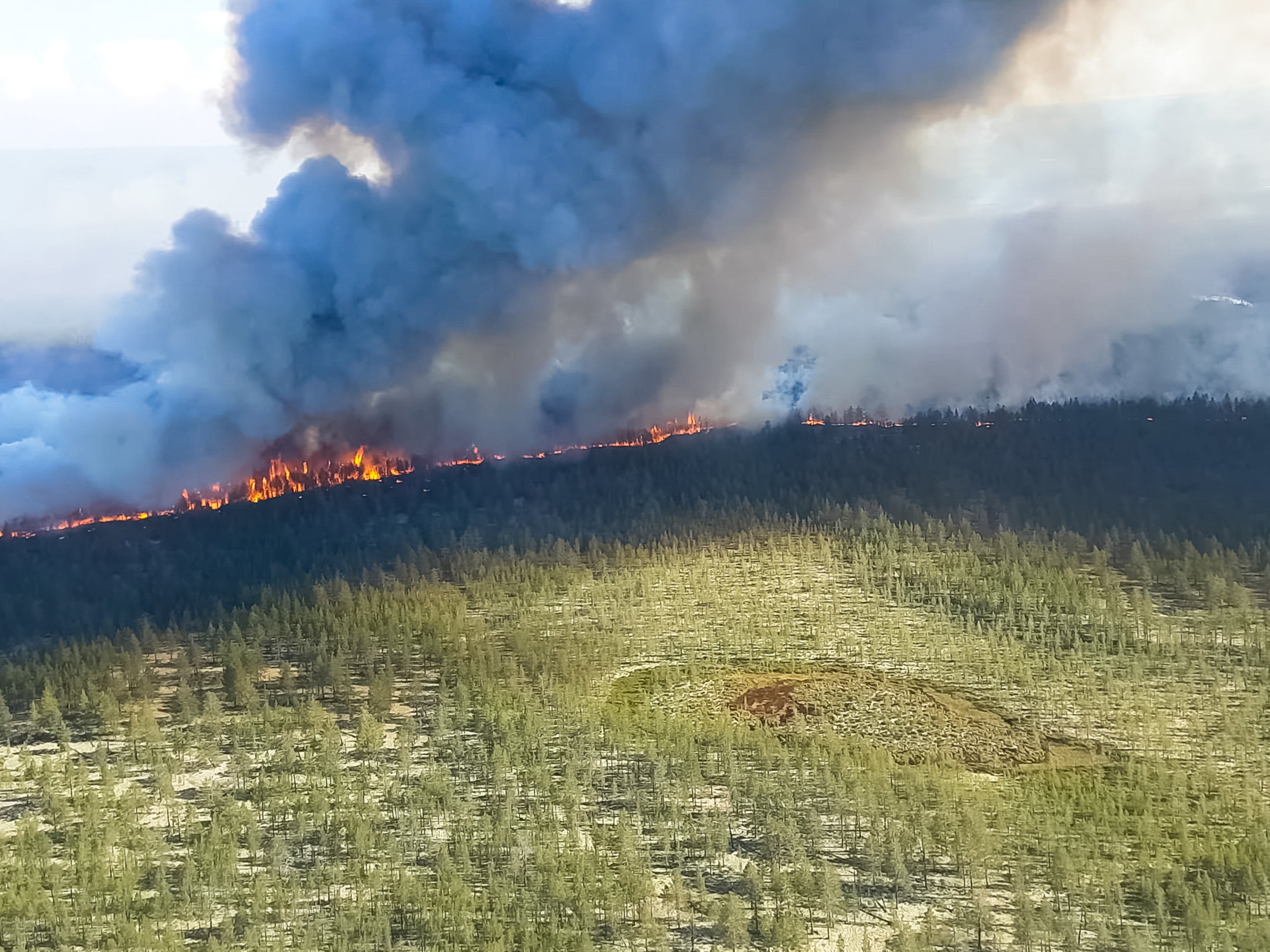 Wildfires in Siberia ripped through around 15 million hectares in 2019 and this year the damage is already worse than at the same time last year