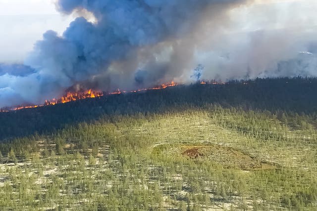 Wildfires in Siberia ripped through around 15 million hectares in 2019 and this year the damage is already worse than at the same time last year