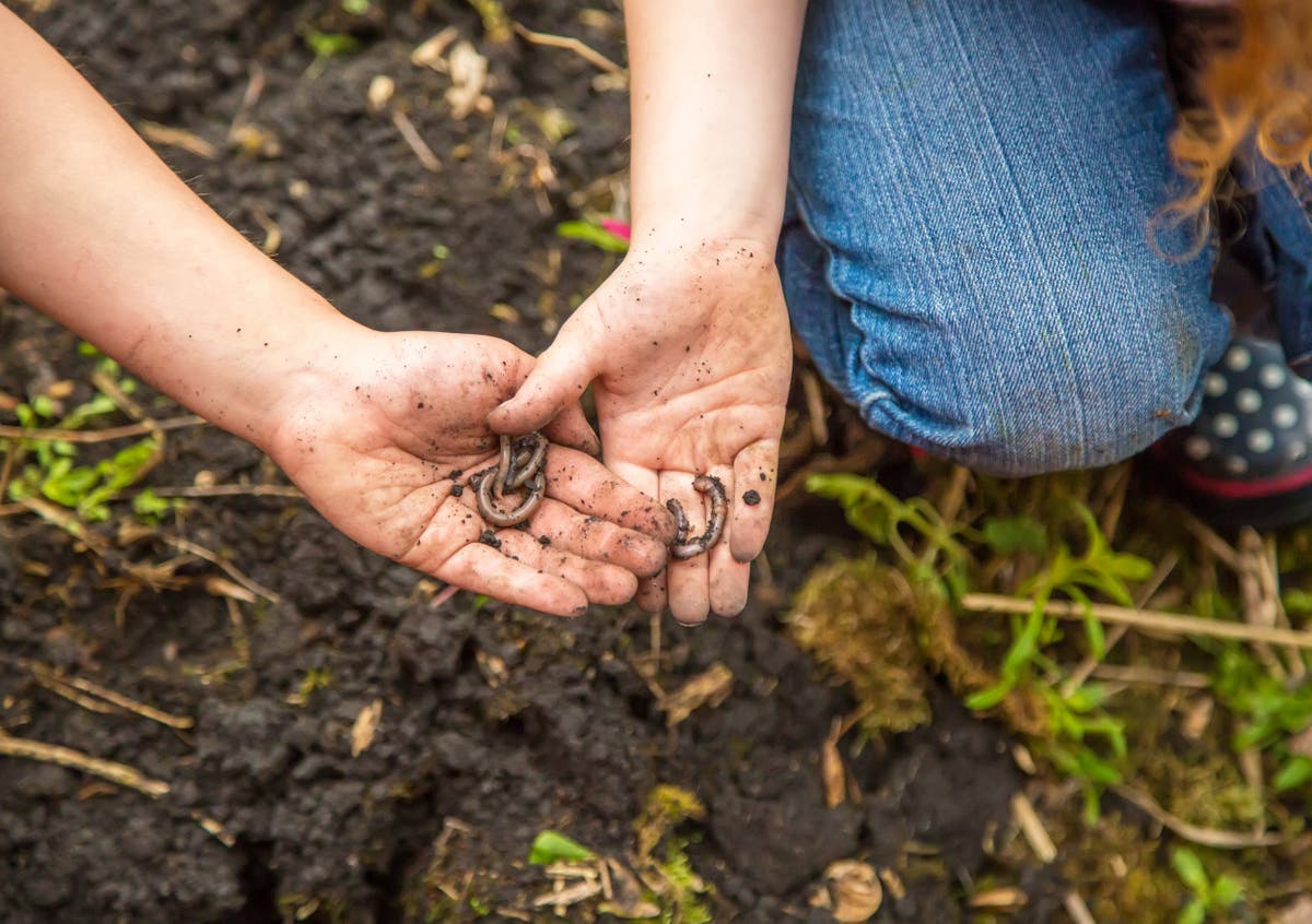 ‘Allow them to be messy’: 10 ways to get your child into nature