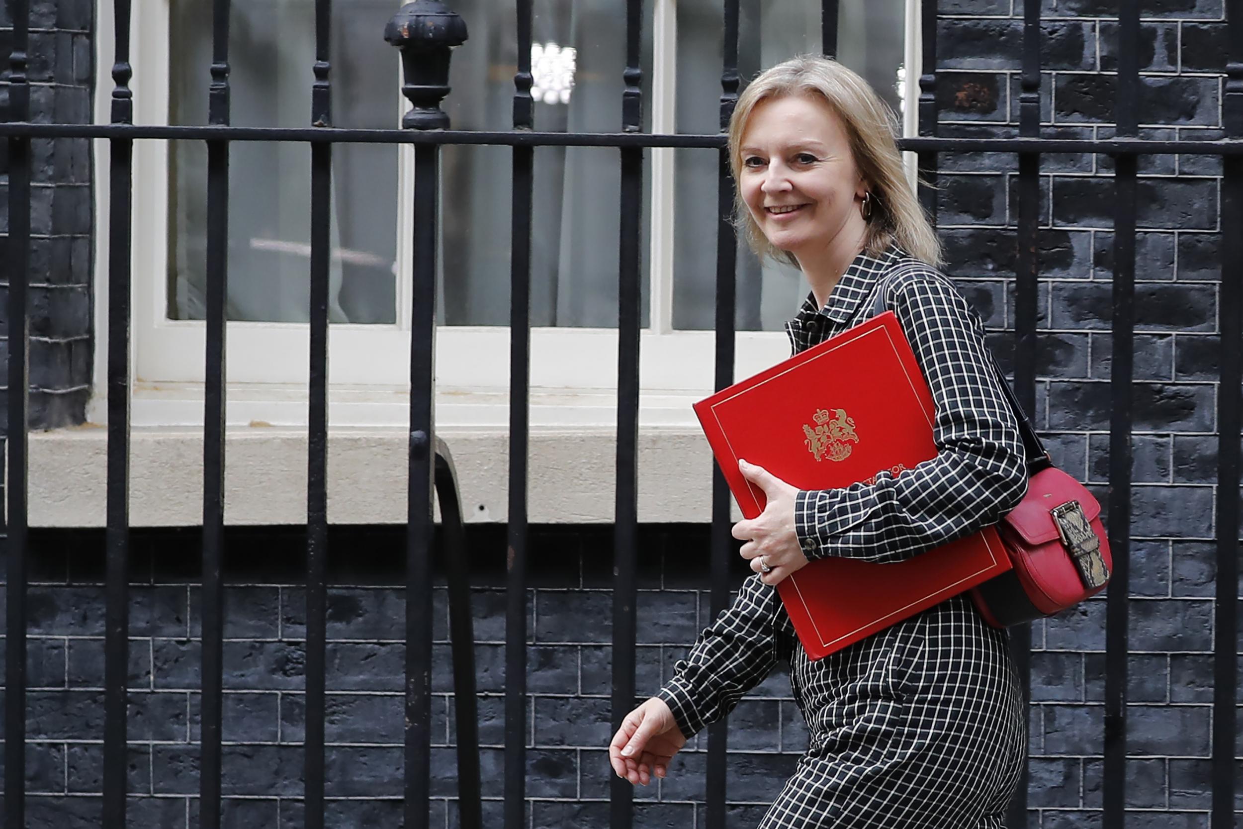 Liz Truss wrote that she had ‘key areas of concerns’ about the PM’s plans for Northern Ireland