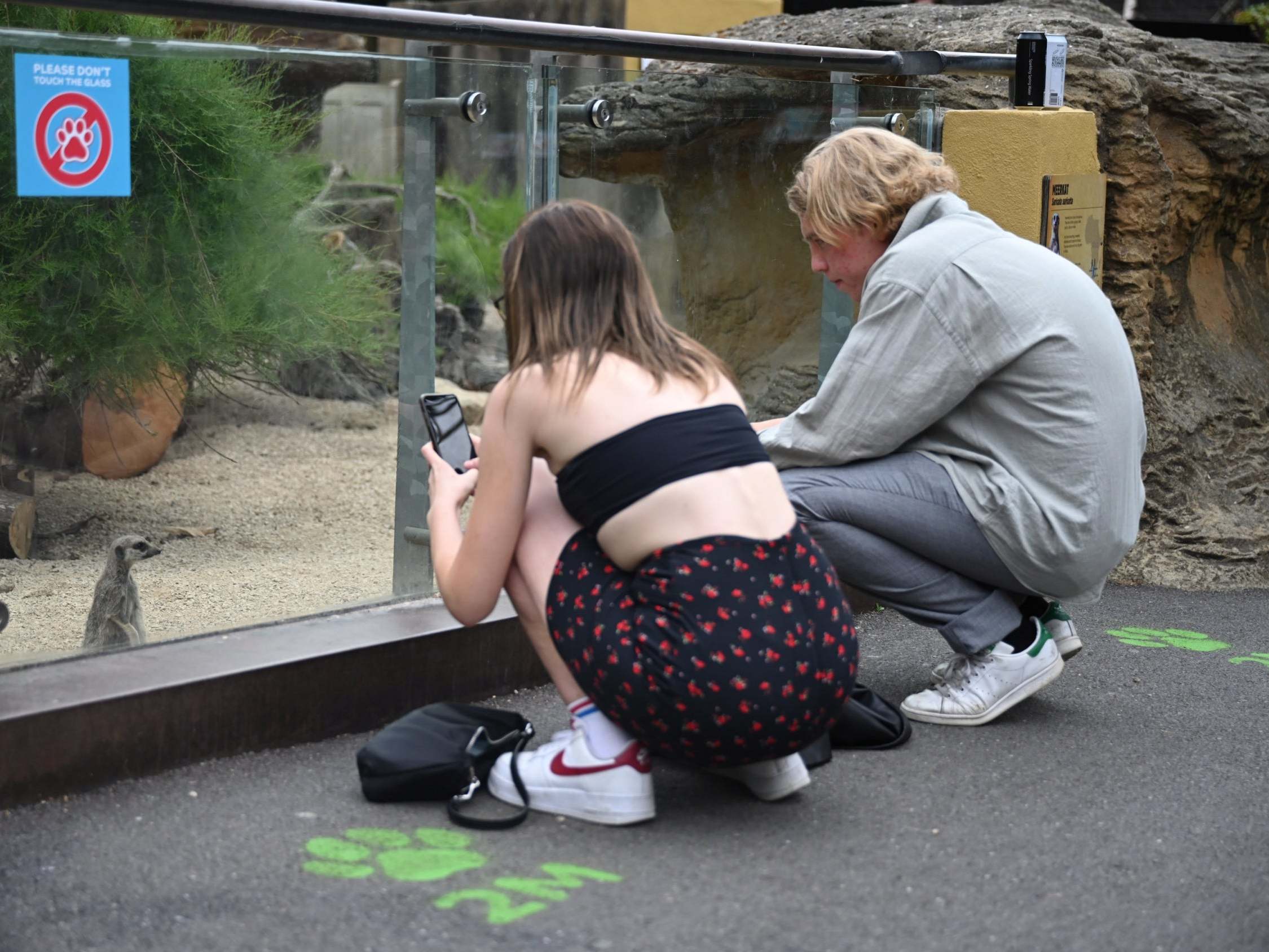 People use social distancing measures at the meerkat enclosure in London Zoo, 15 June 2020.