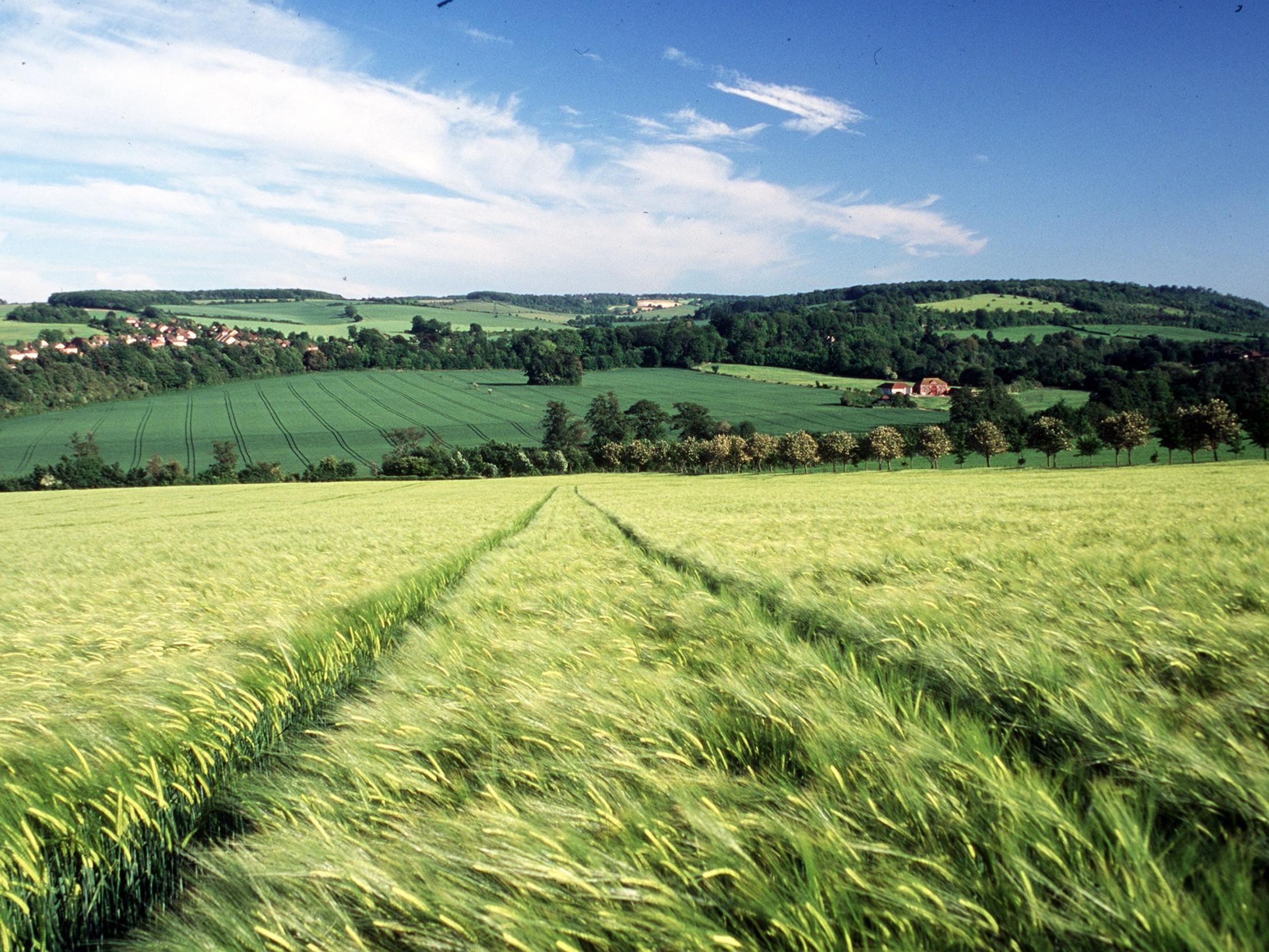 Kent saw the biggest increase in urban sprawl between 1990 and 2015