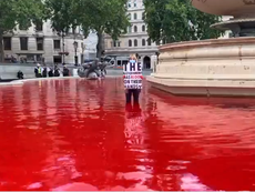 Activists arrested as London fountains dyed red in coronavirus warning