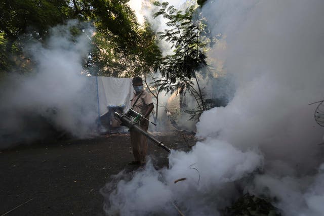 Severe dengue cases may require hospitalisation