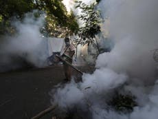 Pandemic hampering dengue prevention in Latin America and South Asia