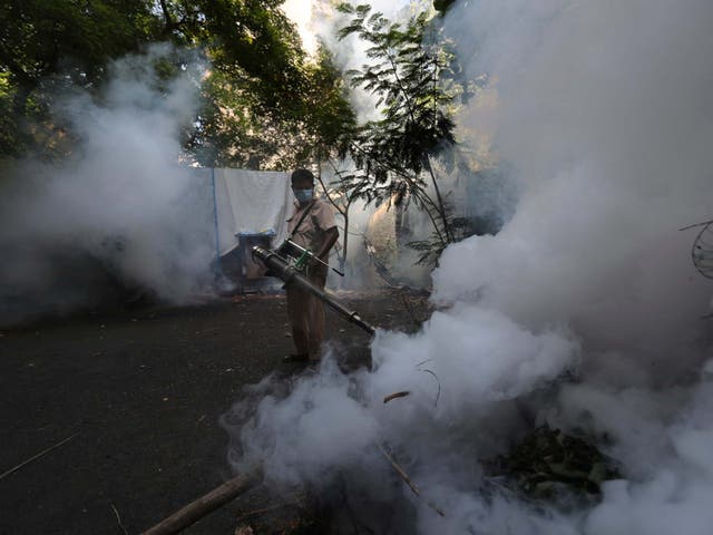 Severe dengue cases may require hospitalisation