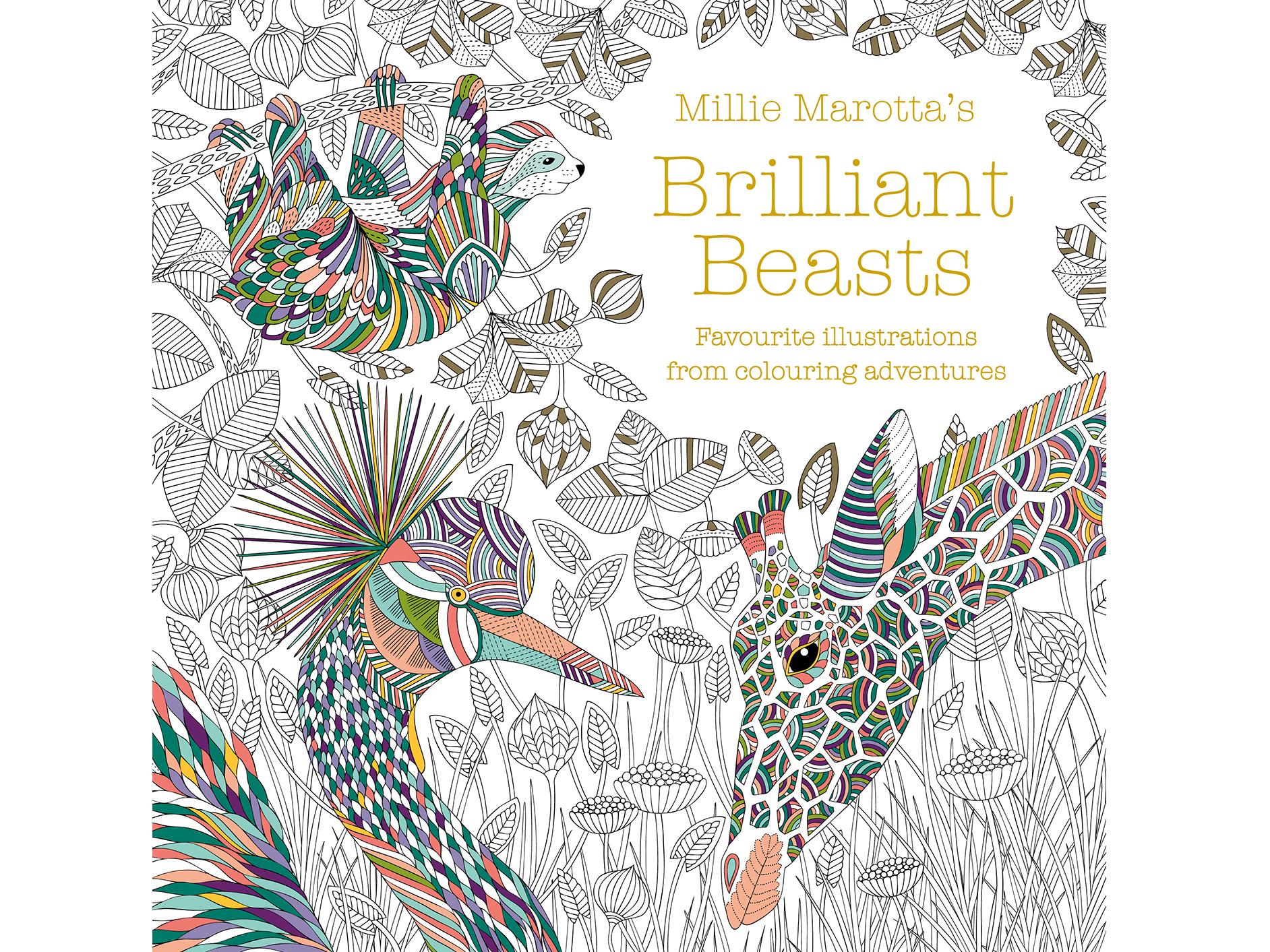 (With intricate designs that require concentration, this will keep kids quiet for hours (Waterstones)