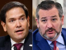 China sanctions Ted Cruz and Marco Rubio over Uighur abuse criticism
