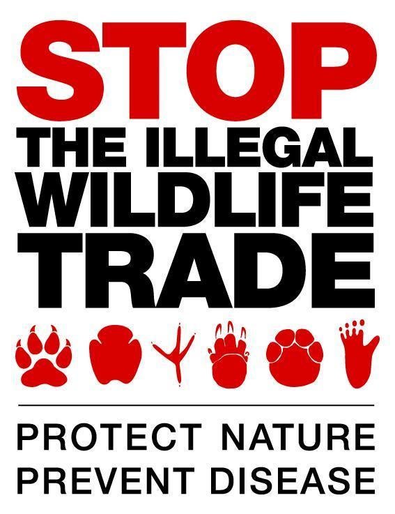 The Covid-19 conservation crisis has shown the urgency of The Independent’s Stop the Illegal Wildlife Trade campaign, which seeks an international effort to clamp down on illegal trade of wild animal