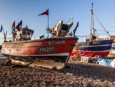 Create protective ‘blue belt’ zone around UK coast to rebuild depleted fish stocks, scientists urge