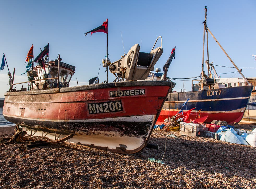 Fishing boats out of the water in Hastings - the town is home to Europe's largest beach-launched fishing fleet