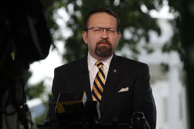 Sebastian Gorka speaks as he is interviewed by Fox News remotely from the White House