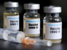 US coronavirus vaccine boosts immune response, early results show