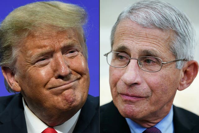 Donald Trump's White House has been leaking opposition research on Anthony Fauci