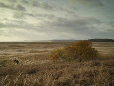 Farmers aim to rewild area 1.5 times the size of London