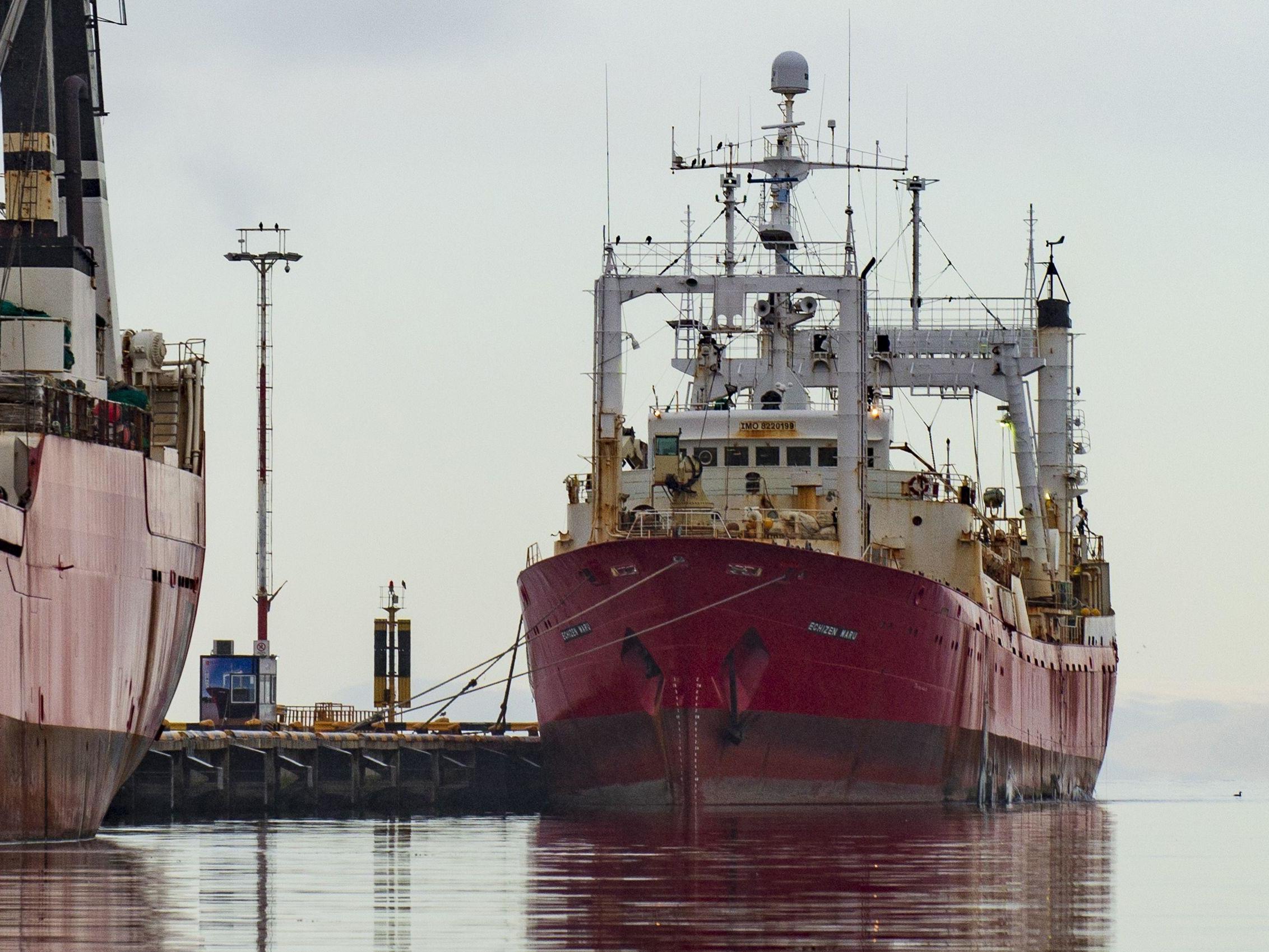 Large SARS-CoV-2 outbreak on a fishing boat - neutralizing