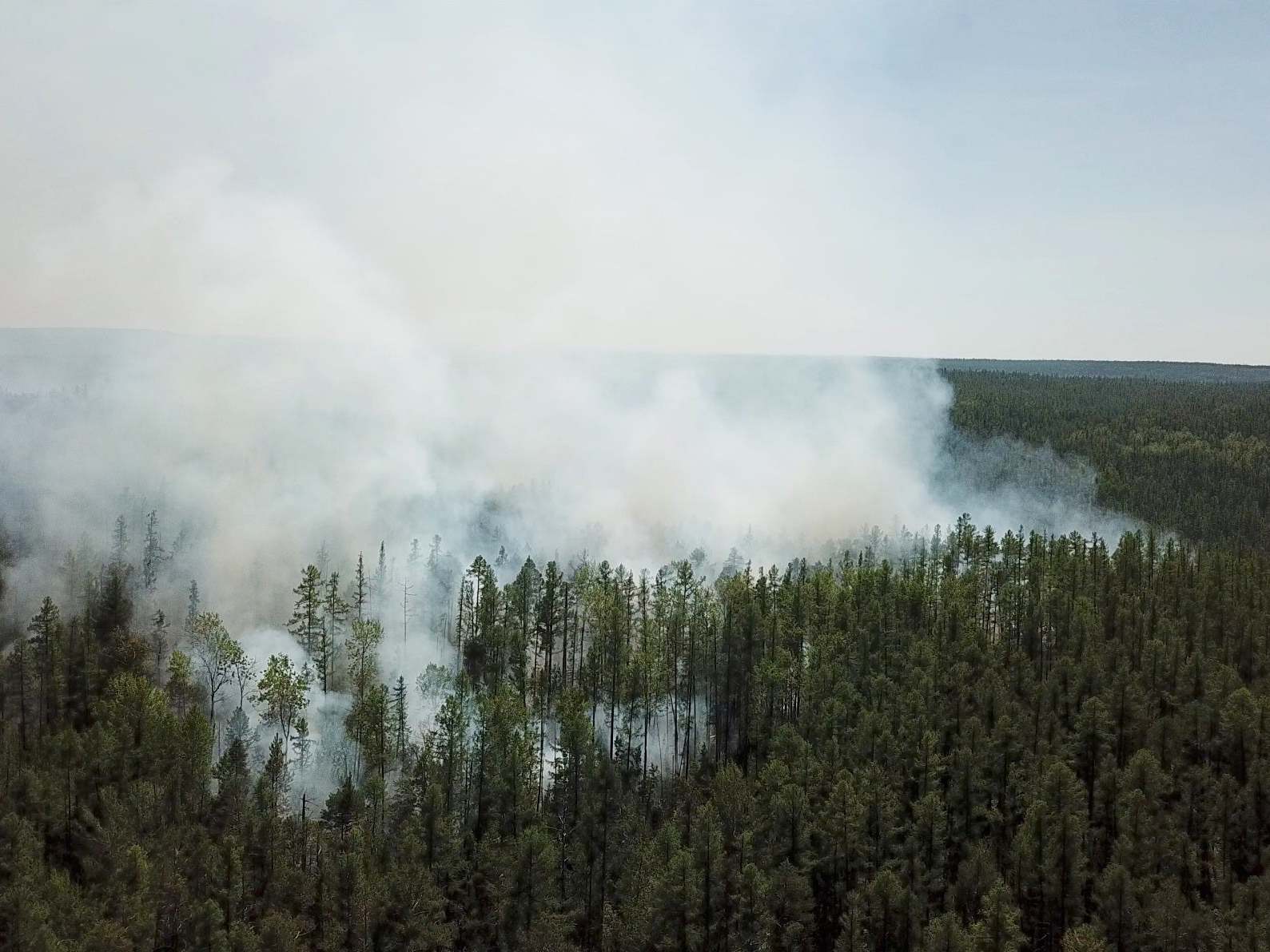 Siberia's heatwave has caused wildfires in the region, further deepening the climate crisis