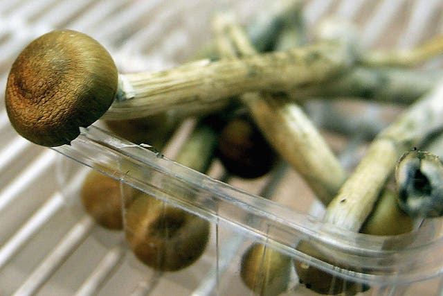 Magic Mushrooms sit in a fridge in London, England.