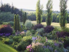 ‘This garden packed with old-fashioned plants feels right’: How to cultivate a soulful garden 