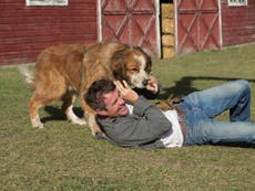 Dennis Quaid says A Dog’s Purpose video was a ‘scam’