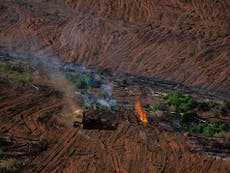 Photos show ‘illegal’ burning of Amazon amid record deforestation