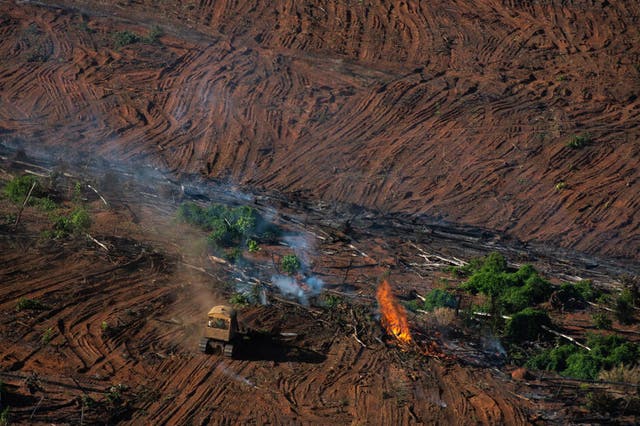 Vast expanses of land are cleared and burned in Juara, Mato Grosso state, Brazil