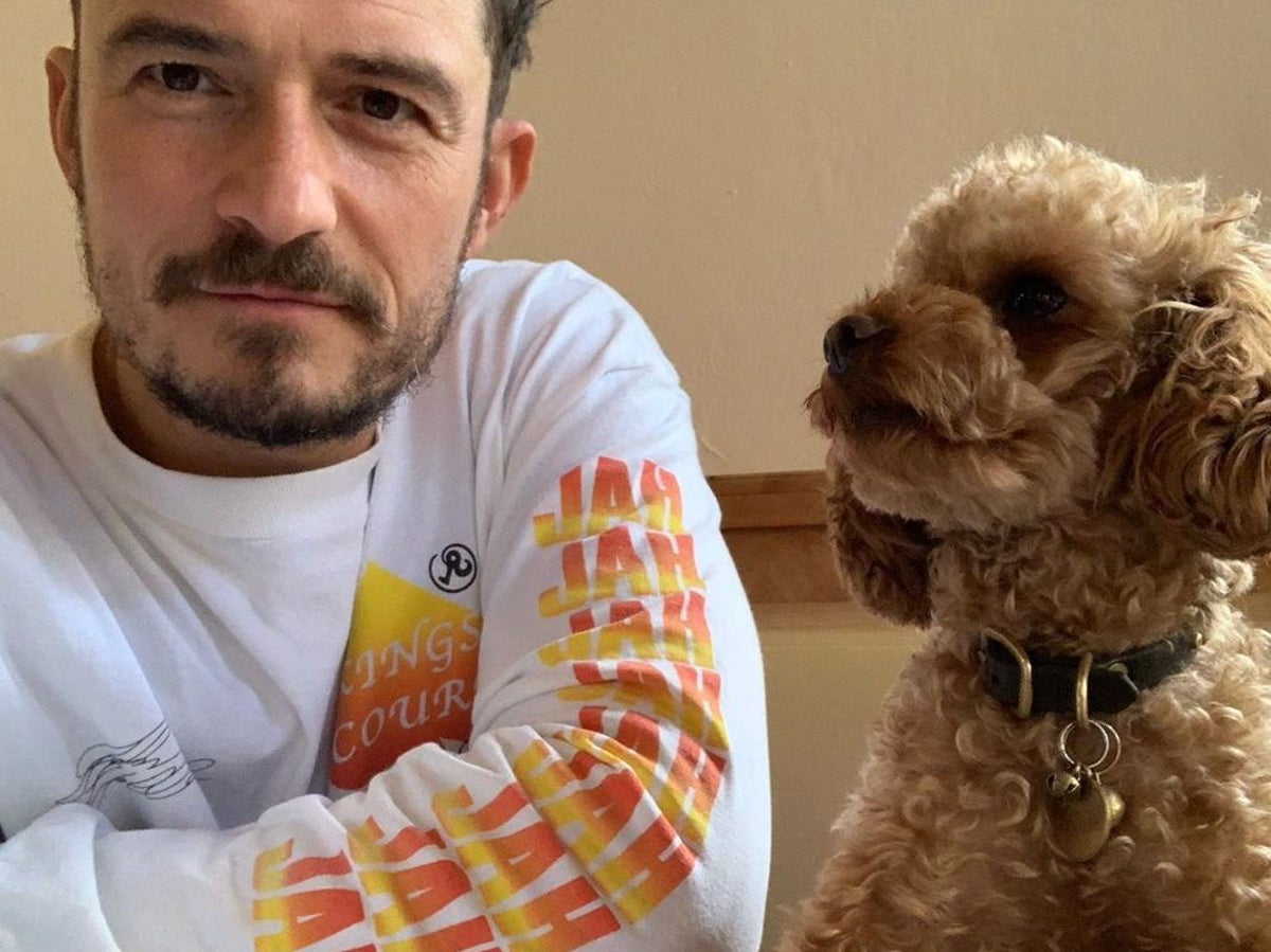 Orlando Bloom Describes Dog Going Missing As A Waking Nightmare The Independent The Independent