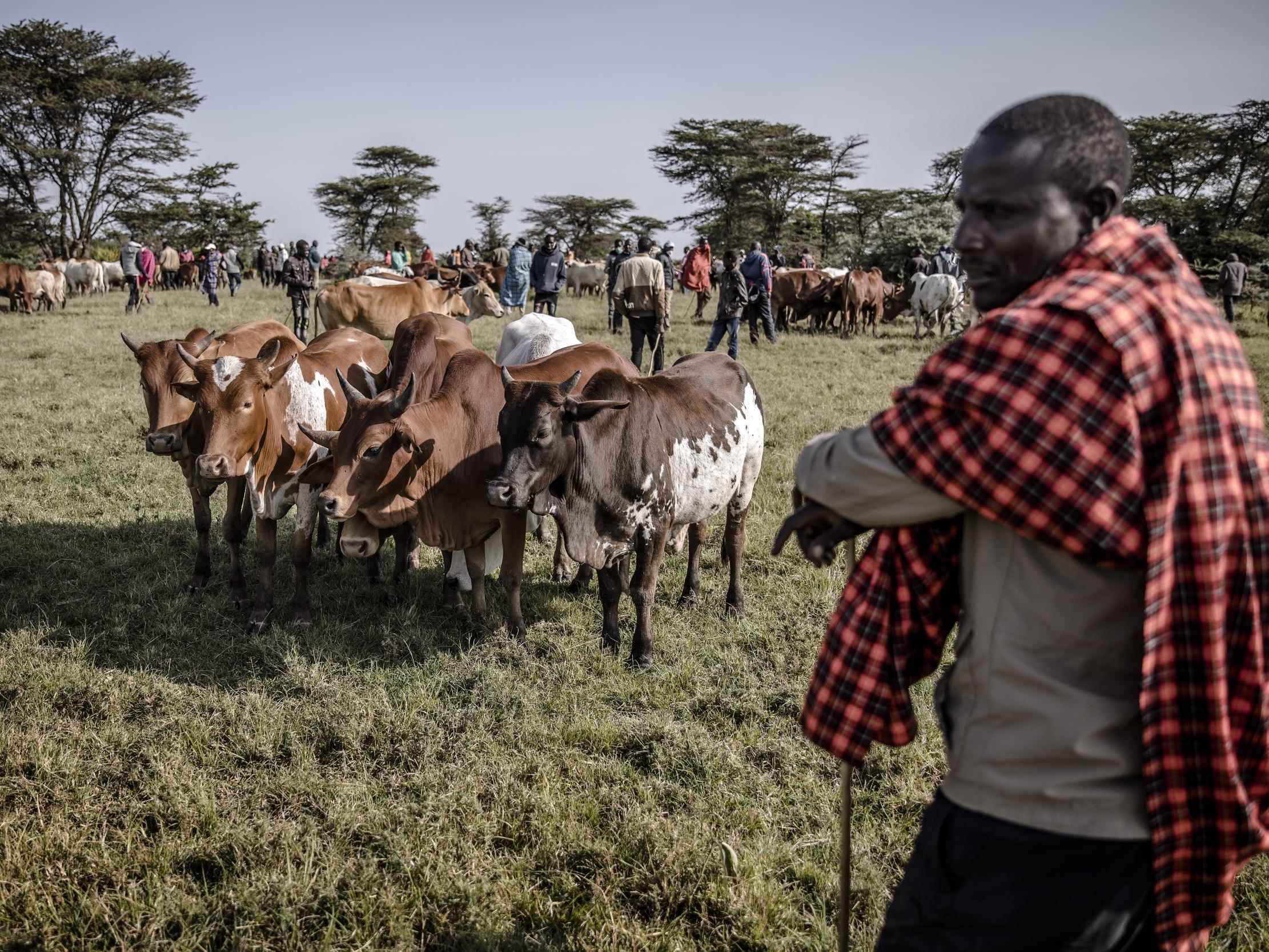 Communities around the Maasai Mara have profited by leasing their land to conservancies