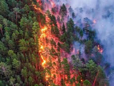 Siberia wildfires ‘engulf area larger than Greece’
