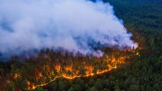 Summer 2020 Arctic wildfires break emissions records