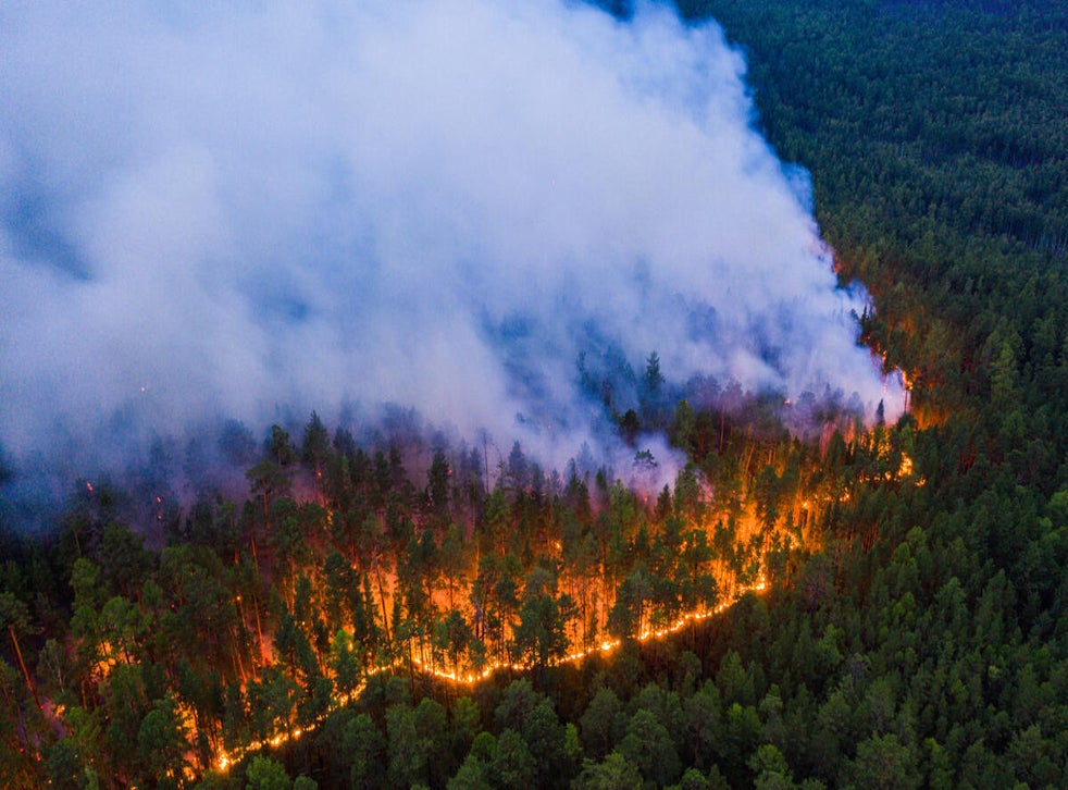 Summer 2020 Arctic wildfires break carbon emissions records | The ...