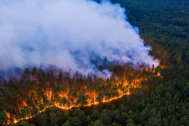 Greenpeace said the fires they documented were 'clear evidence of a climate emergency', and warned the Siberian landscape is being transformed by heat and fire