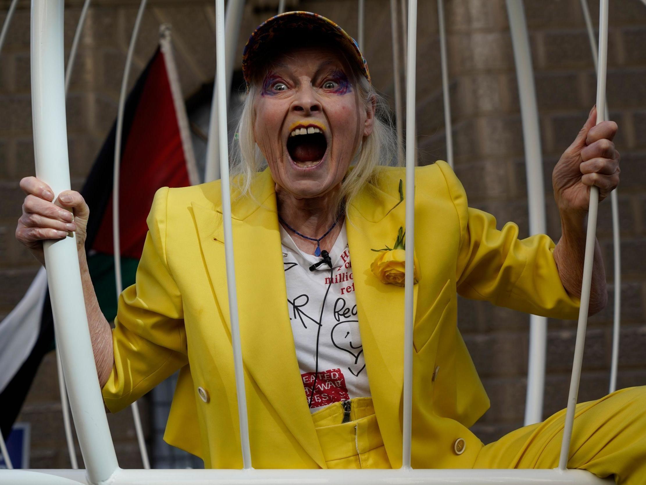 'It's a stitch-up': Dame Vivienne Westwood suspends herself in giant