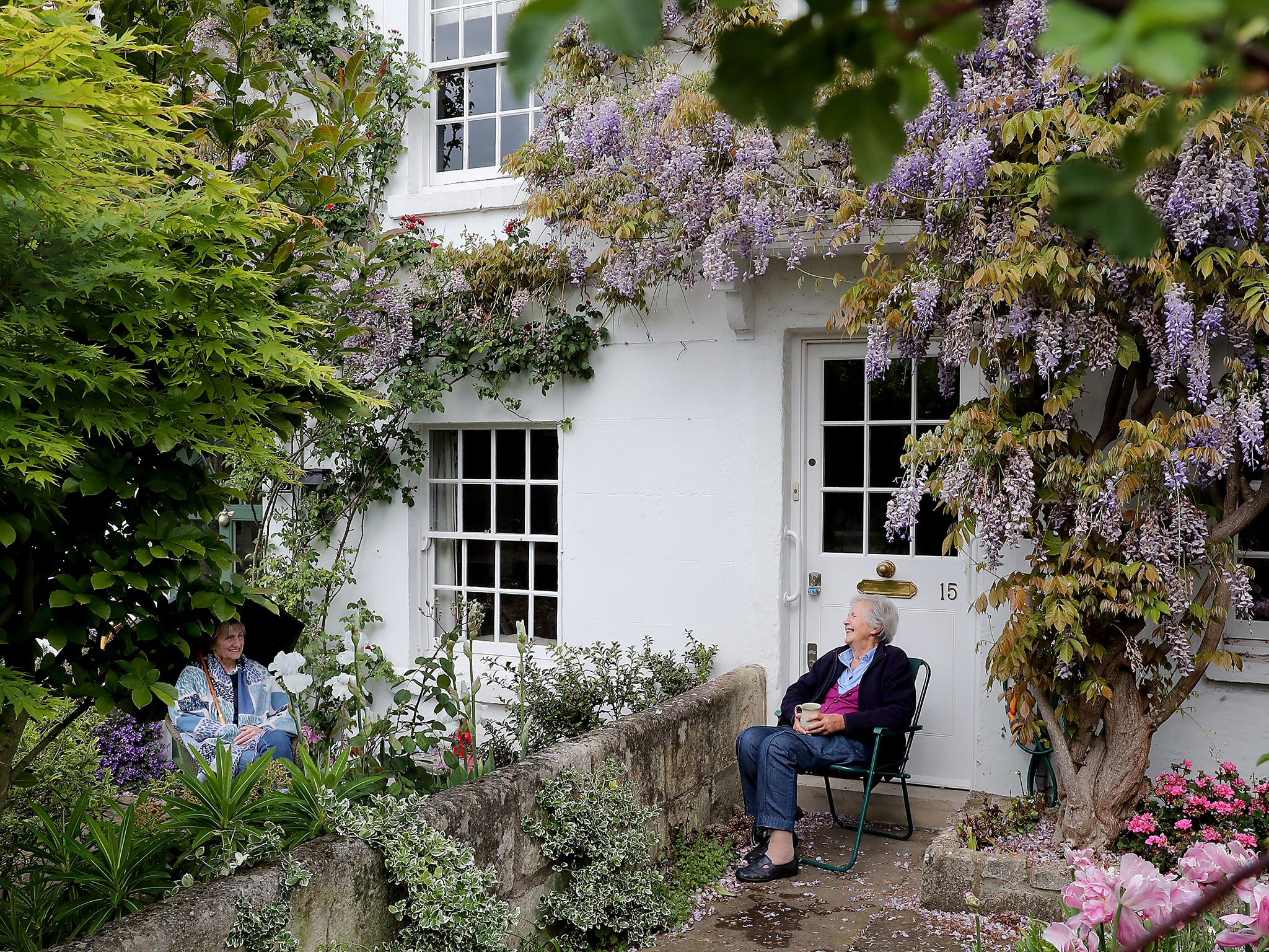 Two neighbours enjoy a socially distanced chat under the wisteria on their houses in Richmond