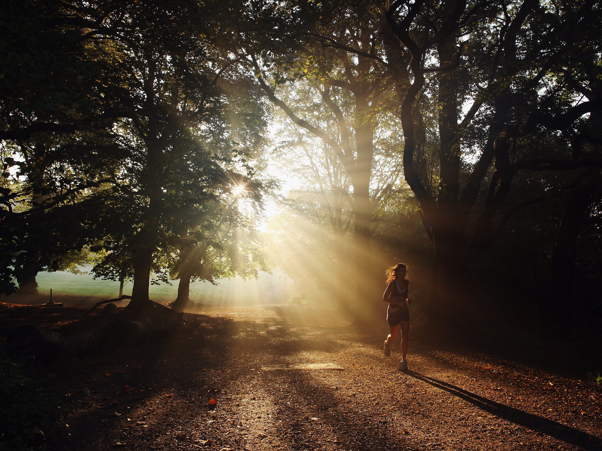 ‘My lockdown runs in Hampstead reminded me of the beautiful yet menacing Egdon Heath in Thomas Hardy’s “Return of the Native”’