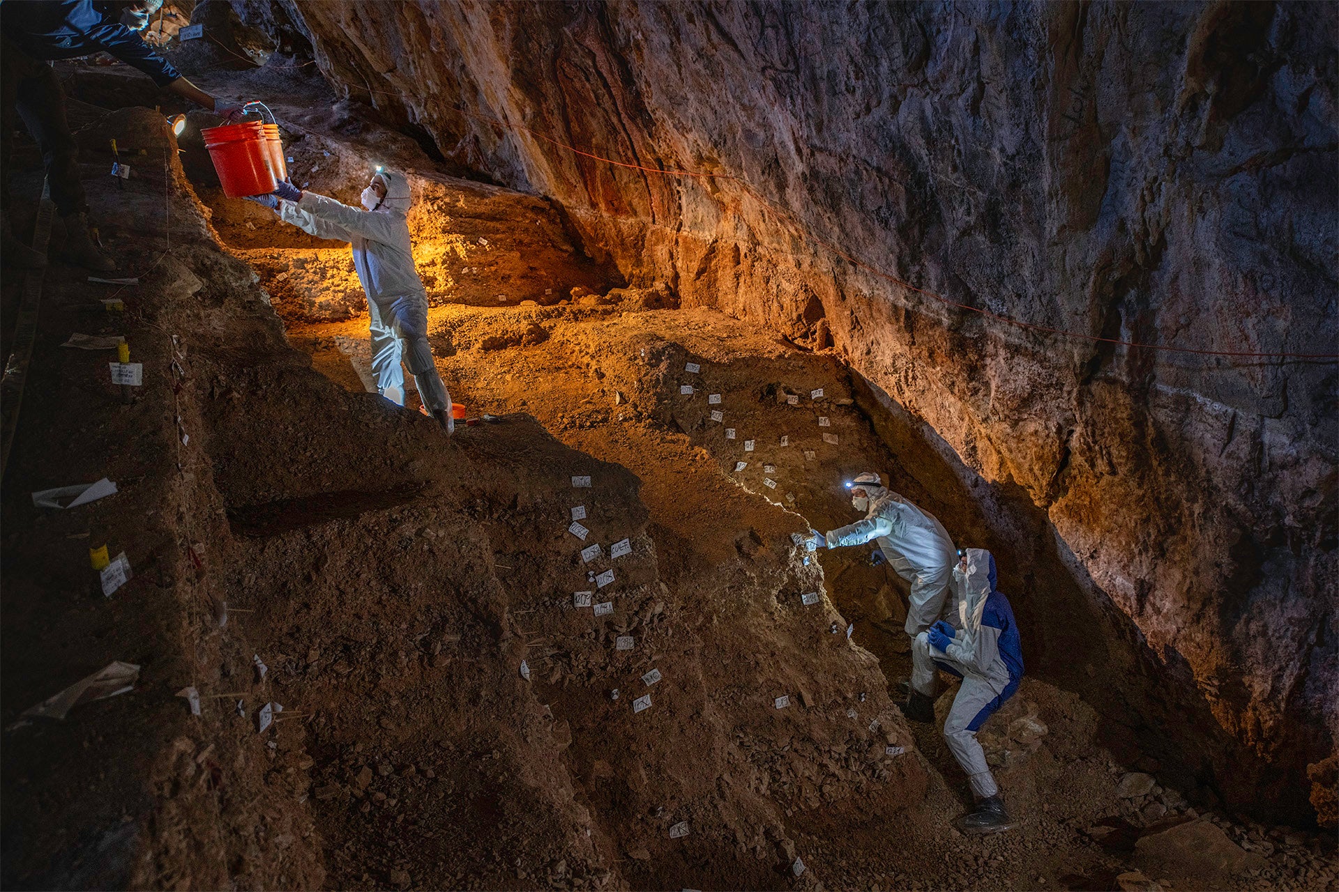 Scientists inside the central Mexican cave collect samples for ancient plant and animal DNA analyses