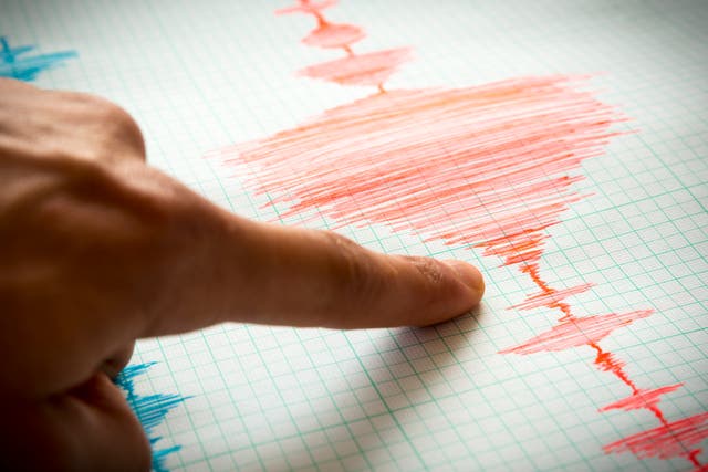 Scientists say international lockdowns reduced seismic noise caused by humans by up to 50 per cent