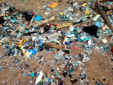 Microplastics now discoverable in human organs due to innovative technique
