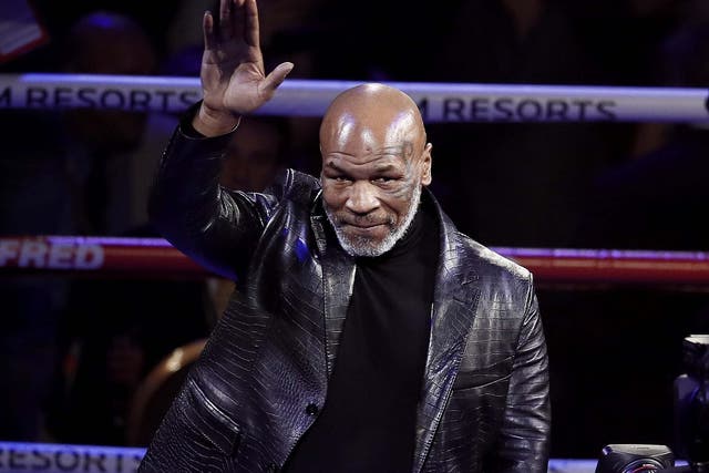 Mike Tyson (pictured) and Roy Jones Jr have been criticised for their plans to return to the ring