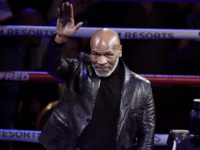 Mike Tyson (pictured) and Roy Jones Jr have been criticised for their plans to return to the ring