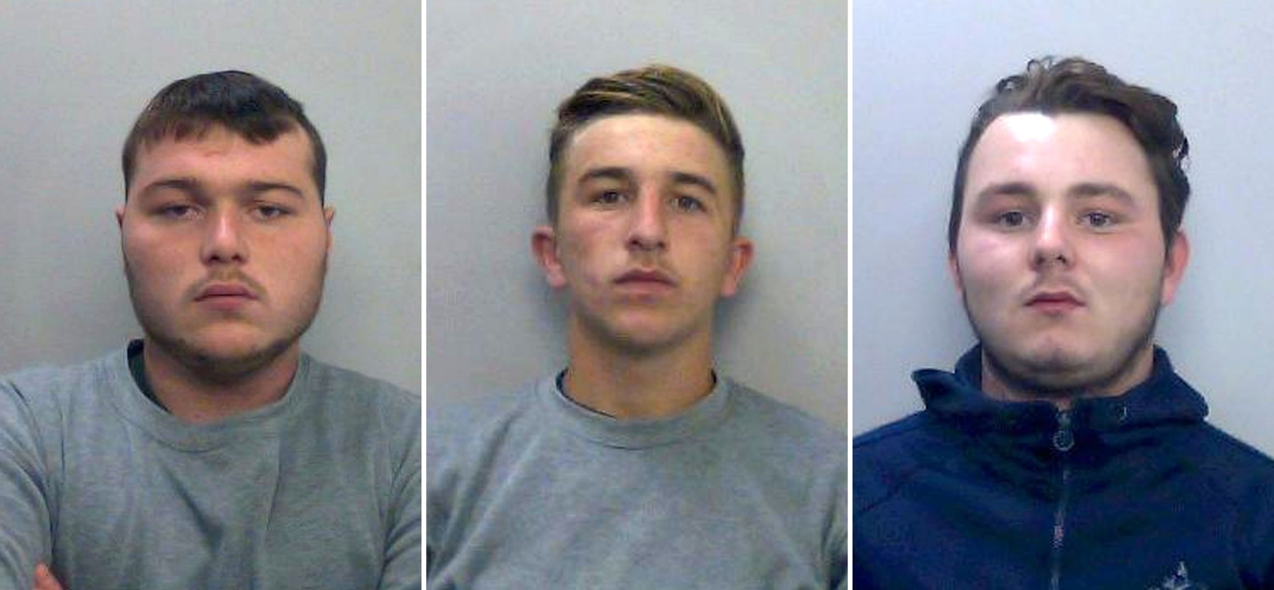 Driver Henry Long, 19, and passengers Jessie Cole and Albert Bowers, both 18, were convicted of the manslaughter of PC Andrew Harper.