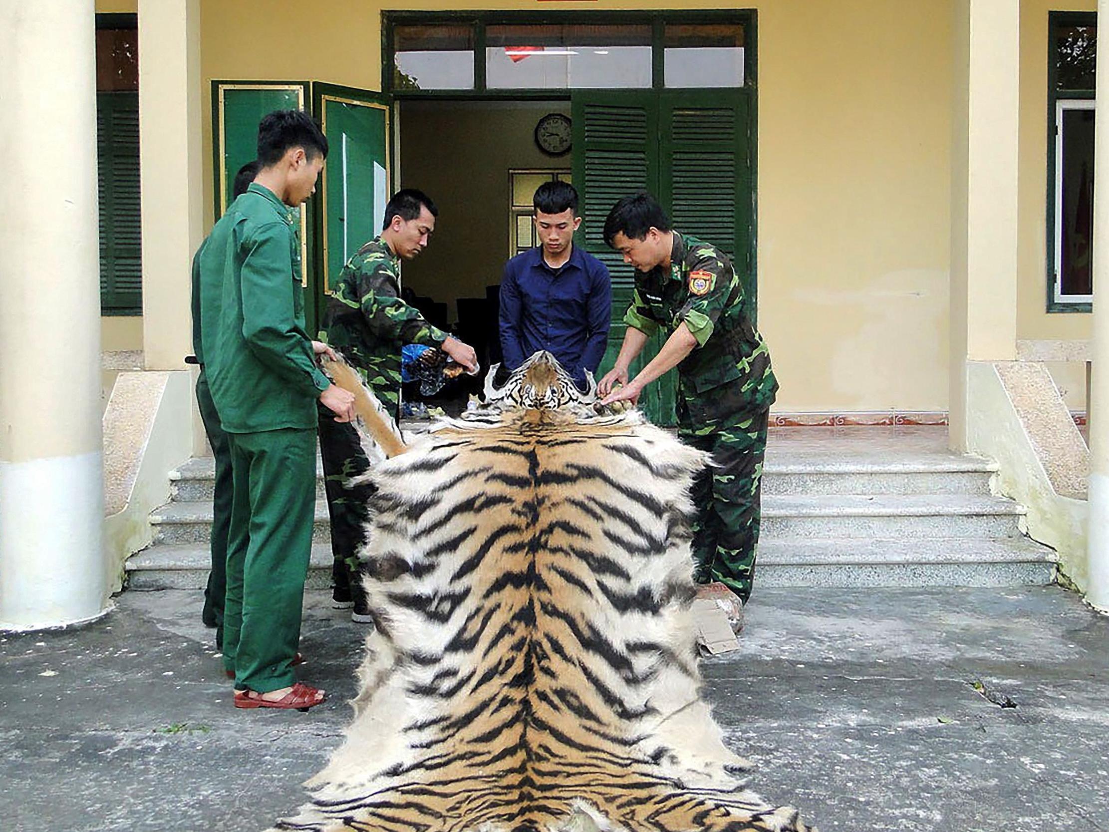 Vietnam bans wildlife trade imports due to the threat of future pandemics