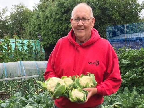 Gerald Stratford, dubbed the 'vegetable king', poses with his cauliflower