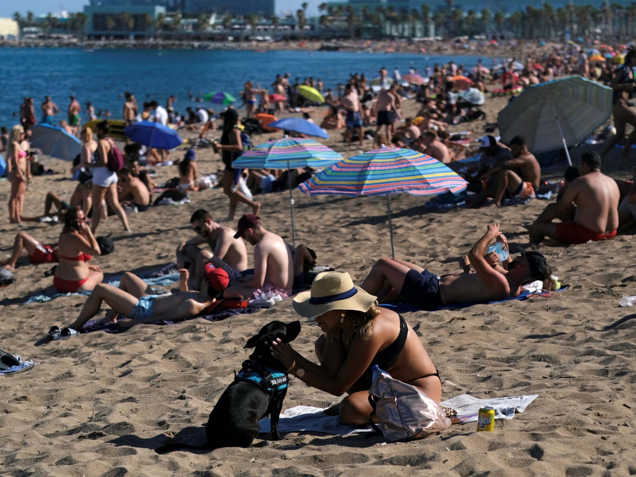 Sunbathers pack onto Barceloneta beach in Catalonia