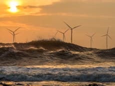 Climate crisis: UK electricity network emissions could turn negative by 2033, says National Grid