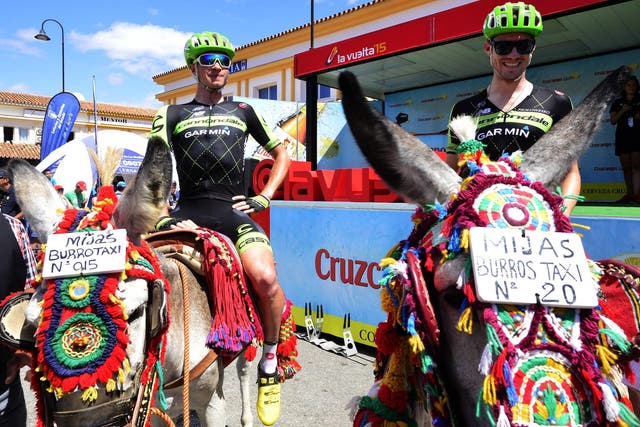 Cannondale-Garmin cyclists US Alex Howes (R) and US King Benjamin pose on the back of donkeys before the third stage of the 2015 Vuelta Espana cycling tour, a 158.4km stage between Mijas and Malaga on August 24, 2015