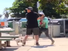 Woman caught on video macing couple for not wearing masks in park